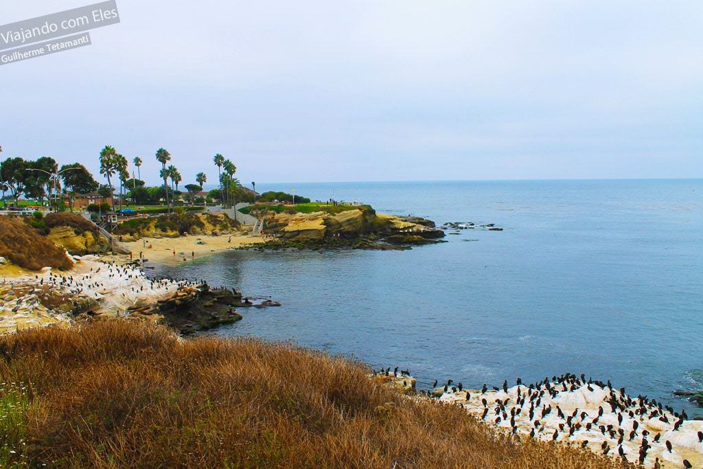 La Jolla é uma das lindas praias de San Diego.