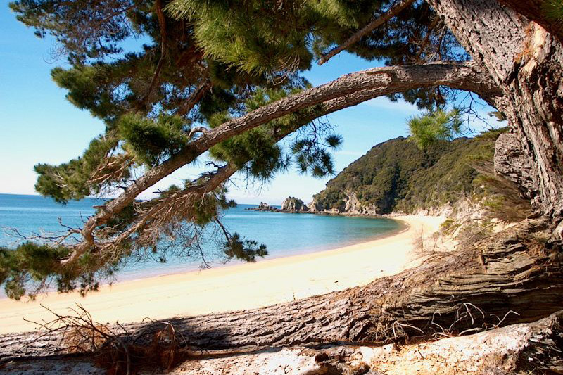 Quais praias conhecer na Nova Zelândia