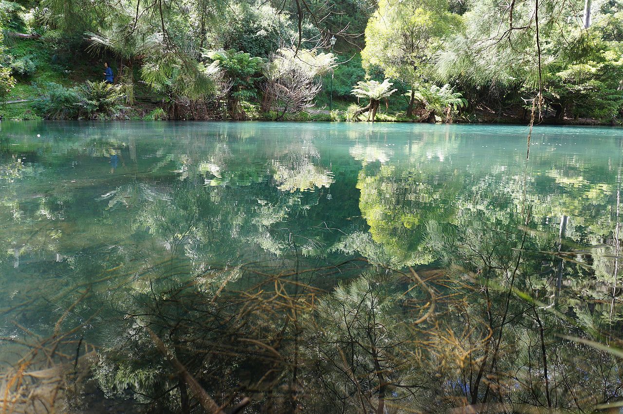 passeios para Blue Mountains tours nos arredores de Sydney