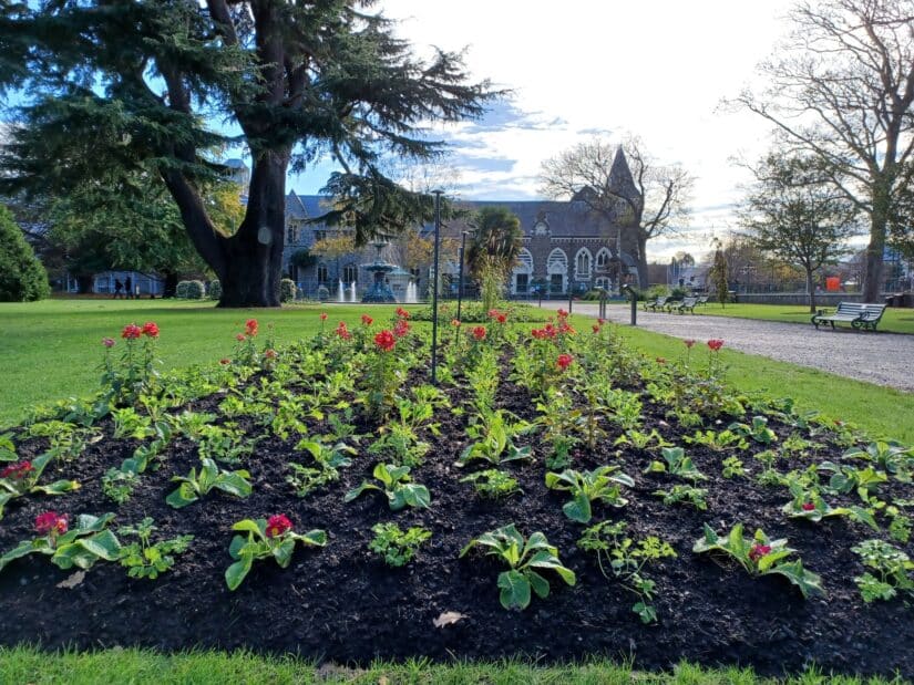 jardim botanico de Christchurch