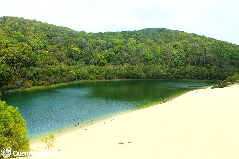 Hotéis em Fraser Island