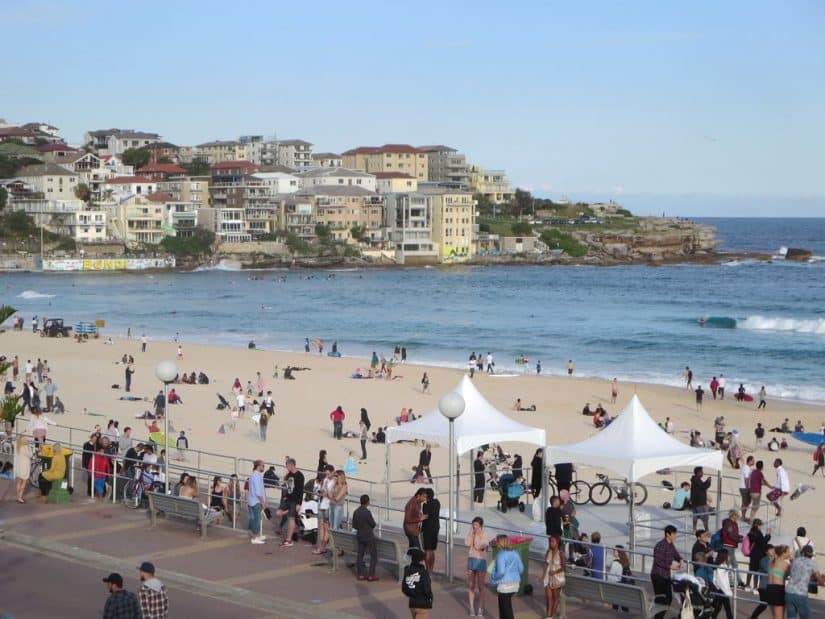 surf sydney