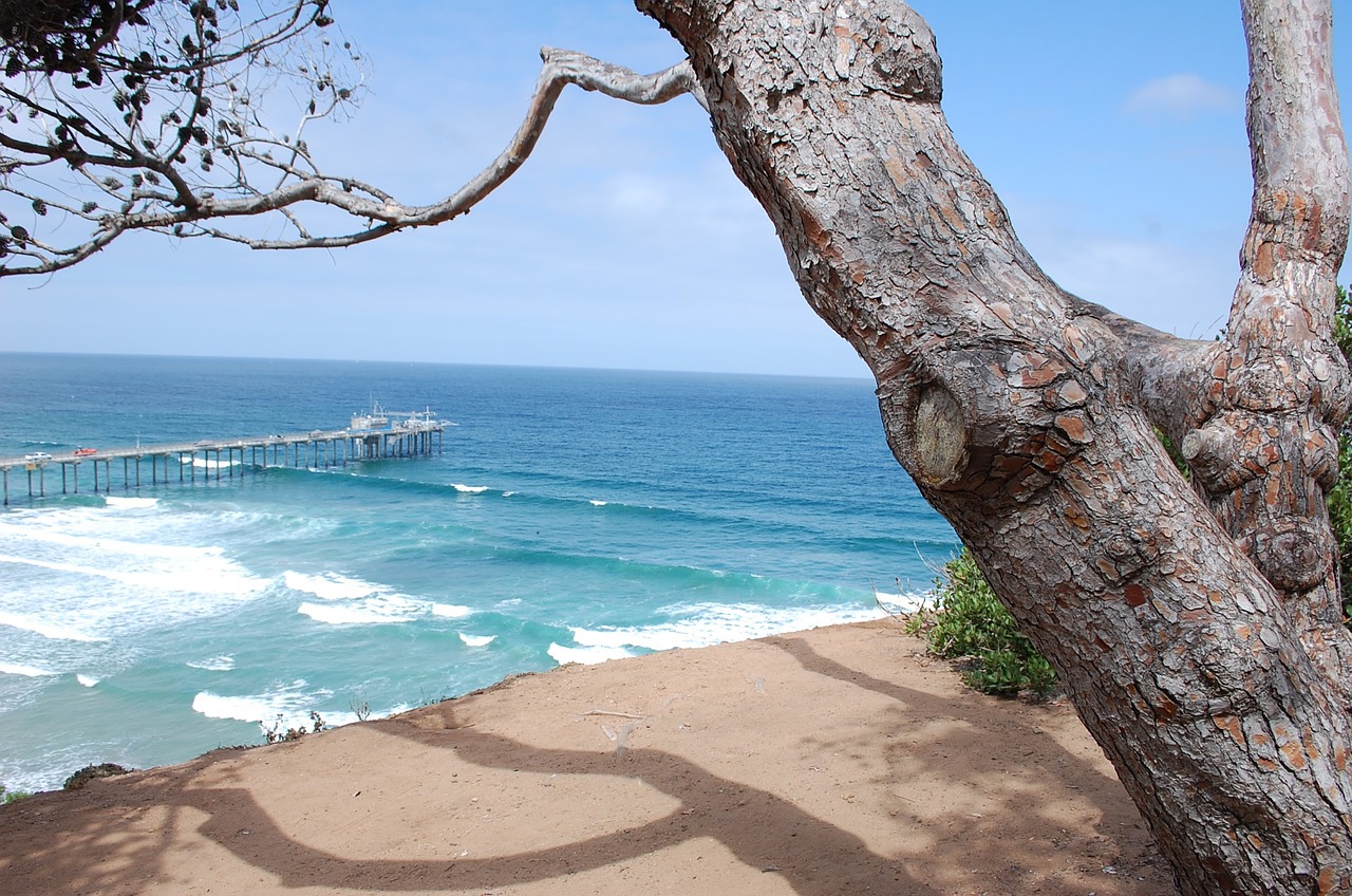 como ir para califórnia praias da california