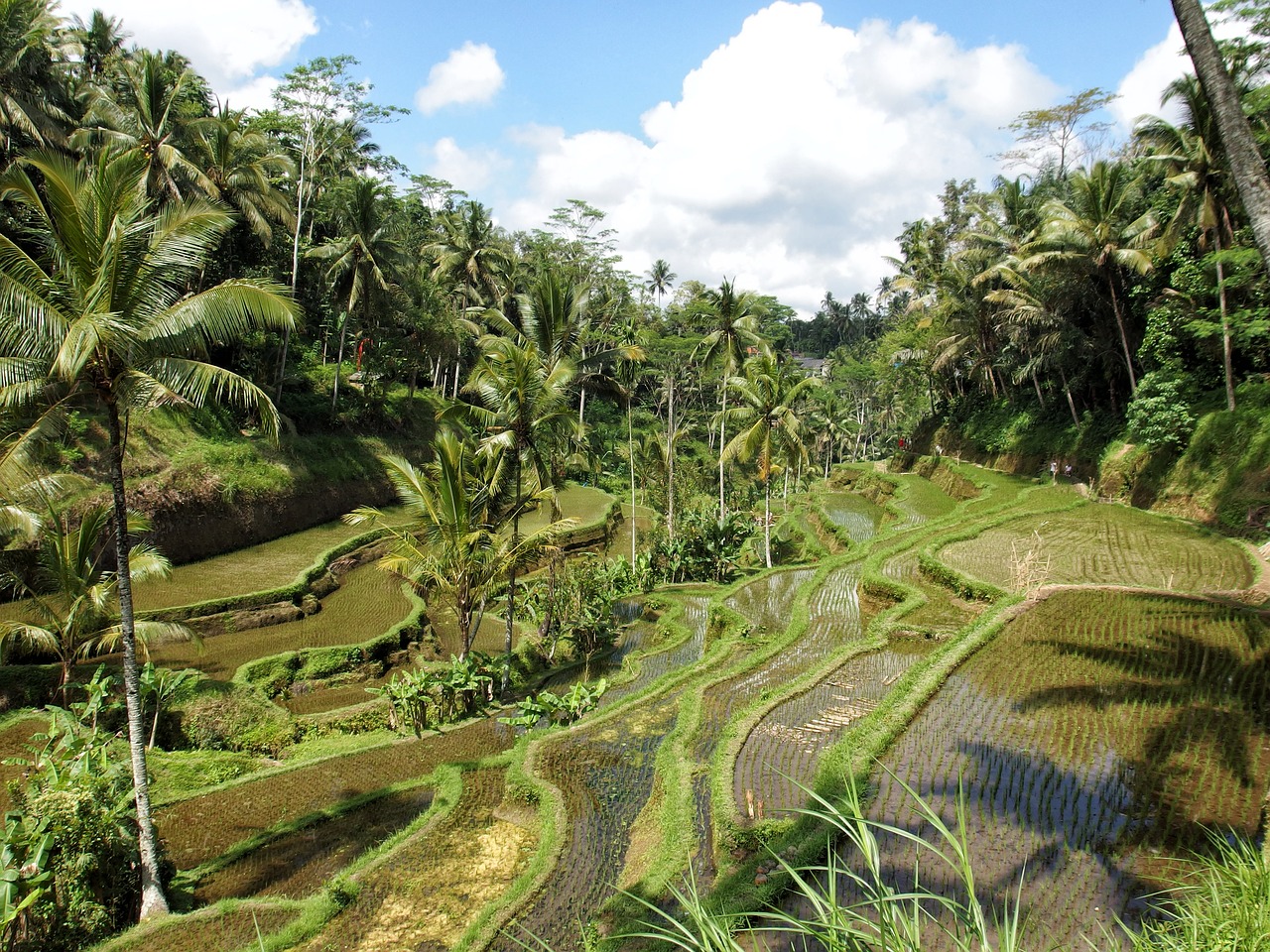 história de bali Qual é a época mais barata para viajar para bali