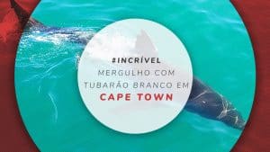 Mergulho com tubarão branco em Cape Town, na África do Sul