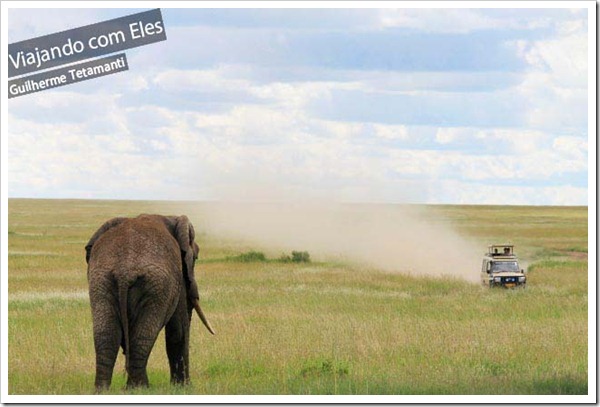 safari-serengeti-tanzania