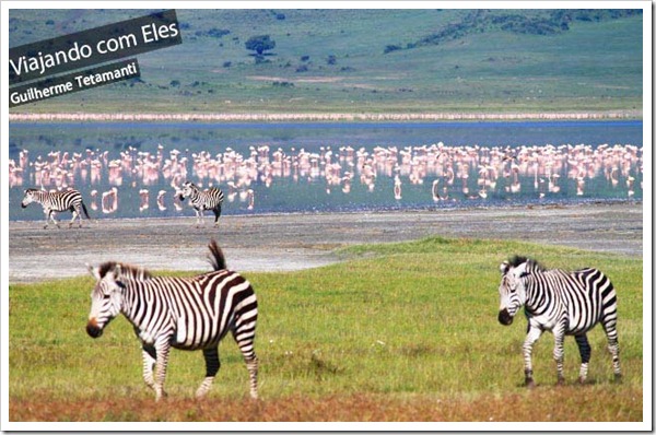 safari-na-tanzania-ngorongoro-crater