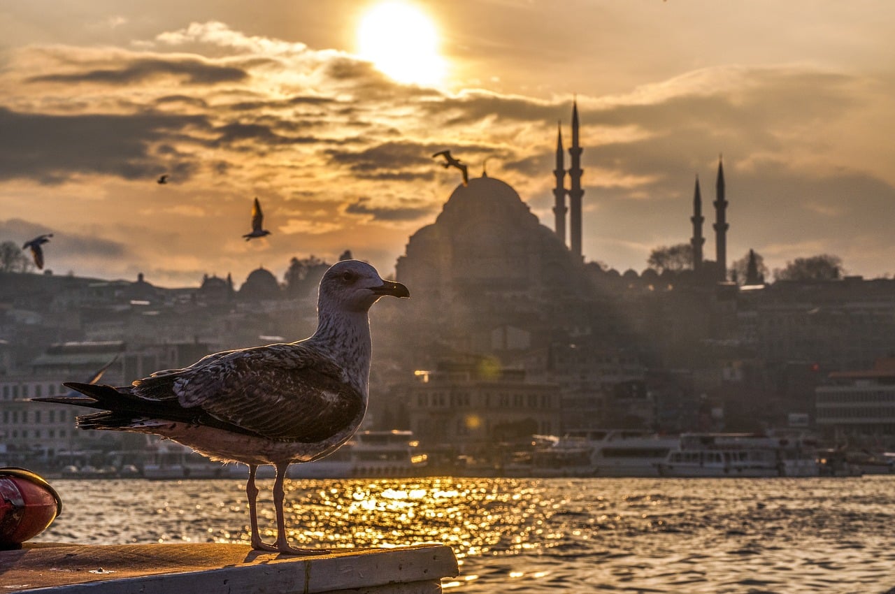 O que fazer em um dia em Istambul?