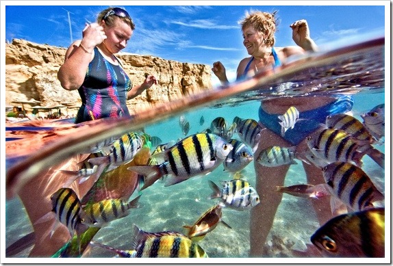 Mergulhar em Sharm el-Sheikh.