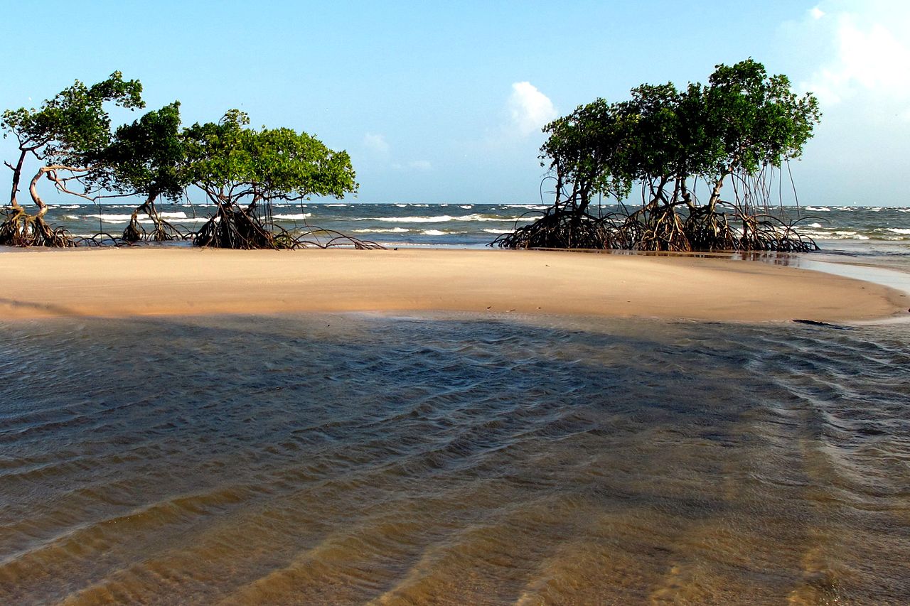 Ilha de Marajo