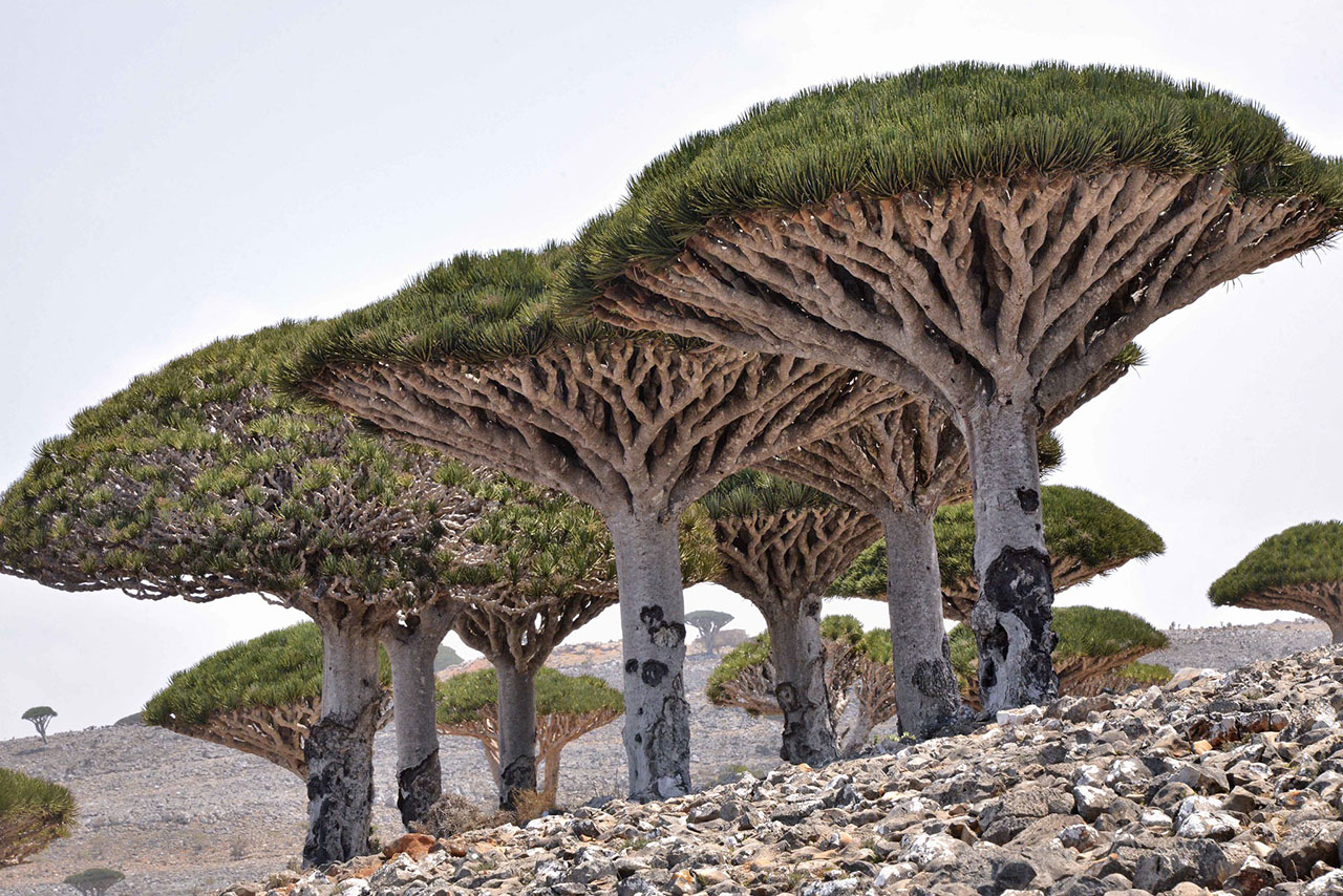 lugares estranhos no google earth
