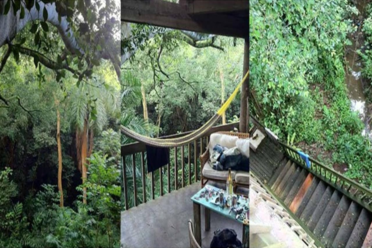 hawaii-turismo-casa-da-arvore-maui