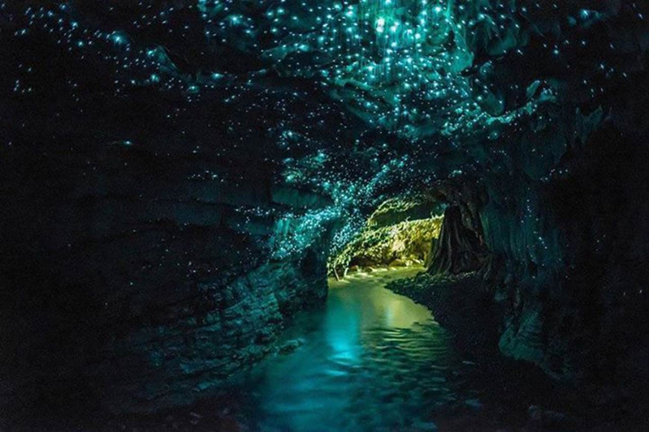 lugares mais estranhos do mundo waitomo caves