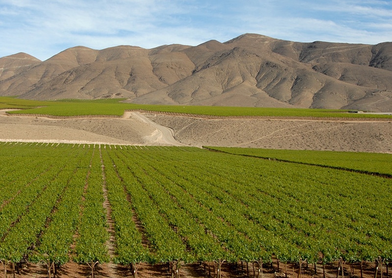 Roteiro pelas melhores vinícolas de Santiago