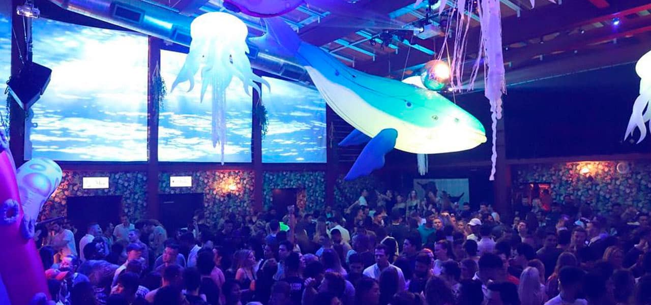 baladas em miami blackbird ordinary