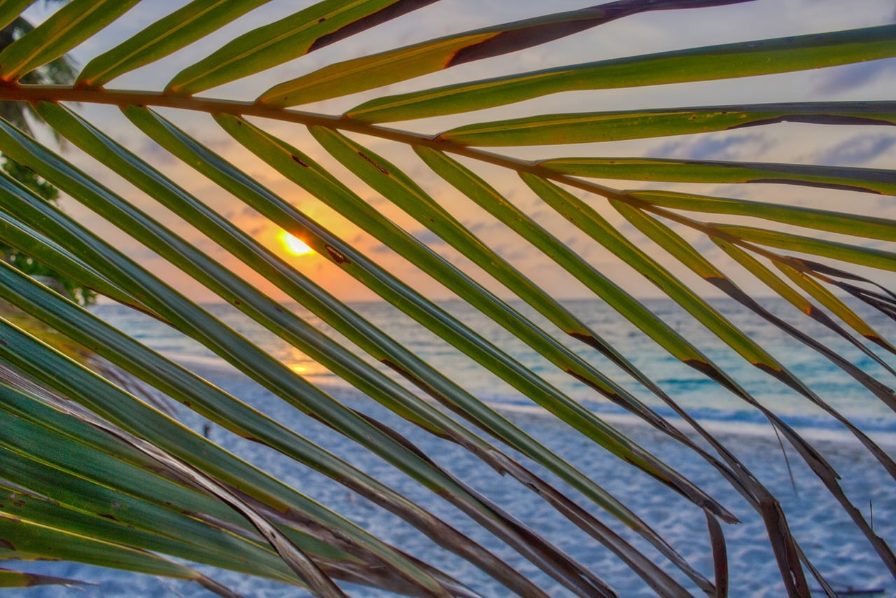palm beach flórida