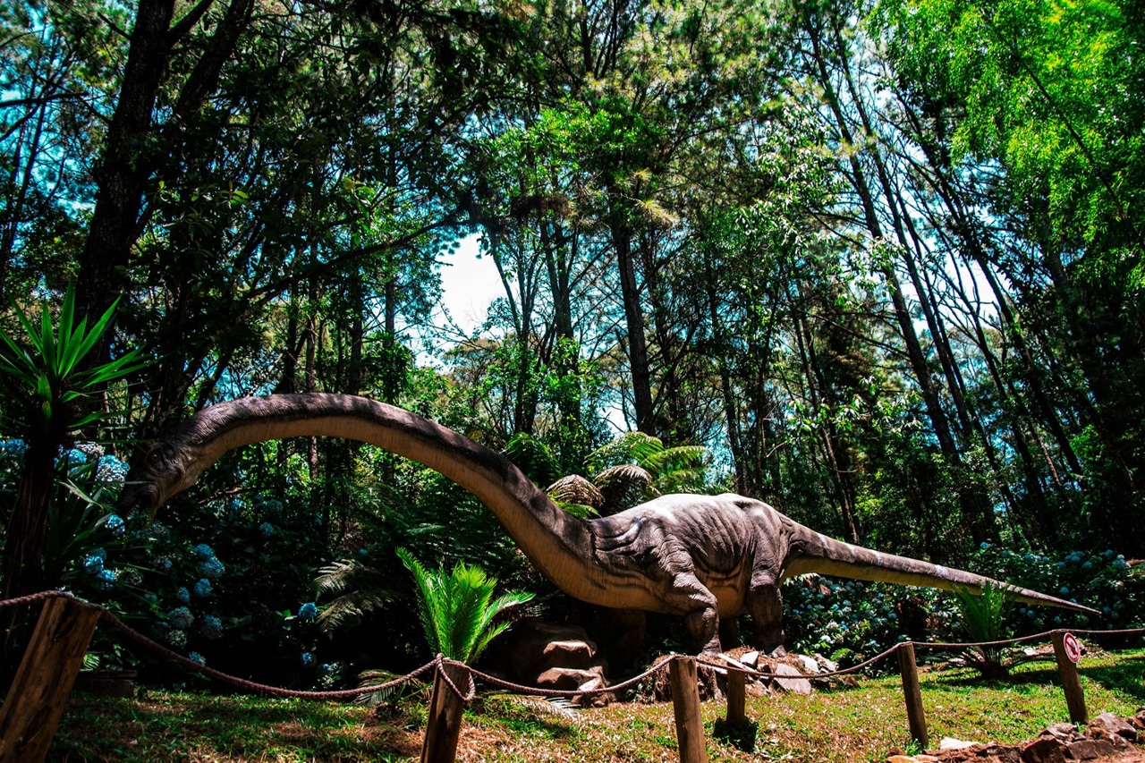 roteiro gramado com crianças gramado com crianças em julho