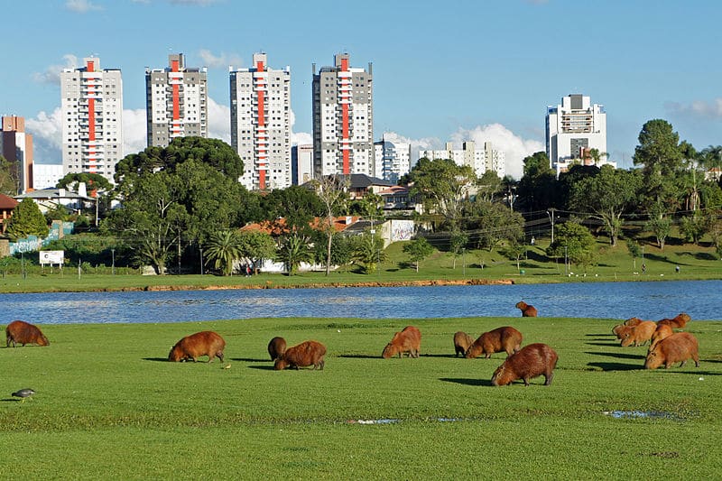 Principais pontos turísticos de Curitiba