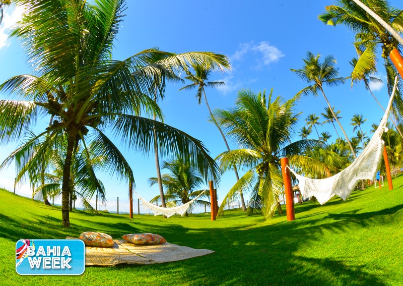 Eco resort na Bahia Eco resort na Bahia