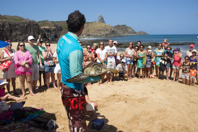 Projeto Tamar em Noronha