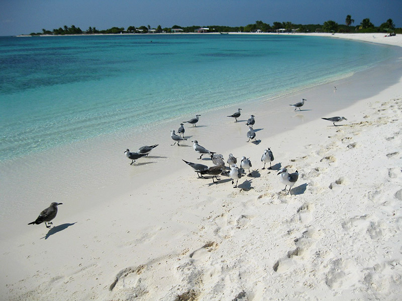 Dicas de Los Roques