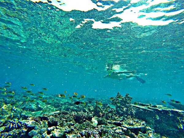 Snorkeling