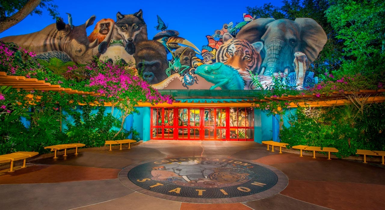 animal kingdom atrações parques disney