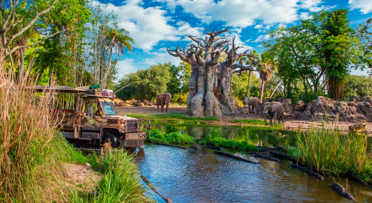 animais parques disney magic kingdom animal