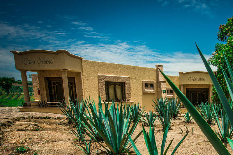 Cidade Tequila, México