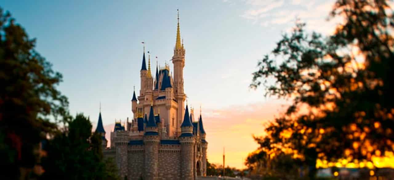 magic kingdom