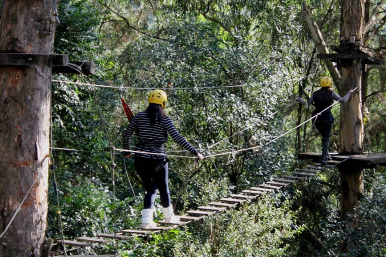 Roteiro de viagem em Canela Roteiro de viagem em Gramado
