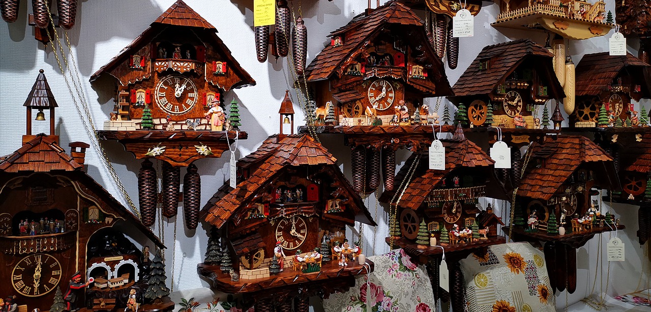 O que comprar em Canela gramado e canela