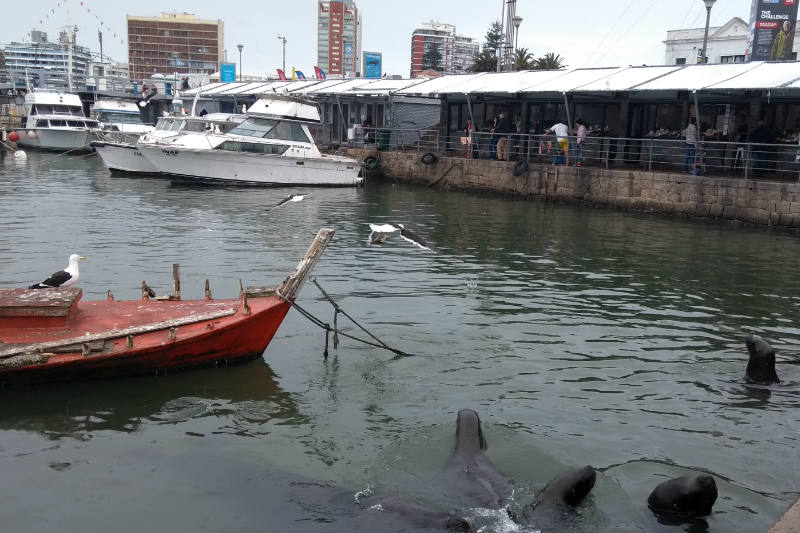 Onde comer em Punta del Este barato?