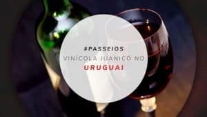 Como é visitar a vinícola Juanicó no Uruguai?