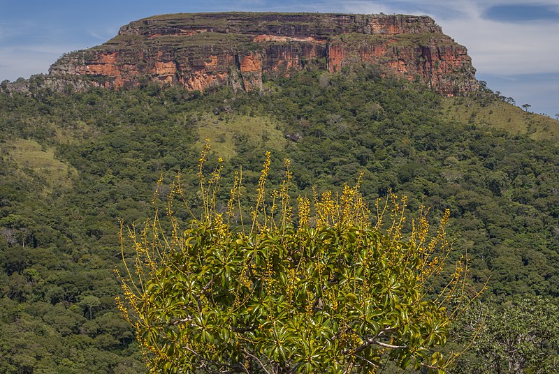 Trilhas na Chapada dos Guimarães