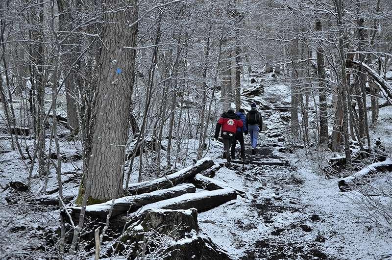 Pessoas andando em trilha na neve em ushuaia