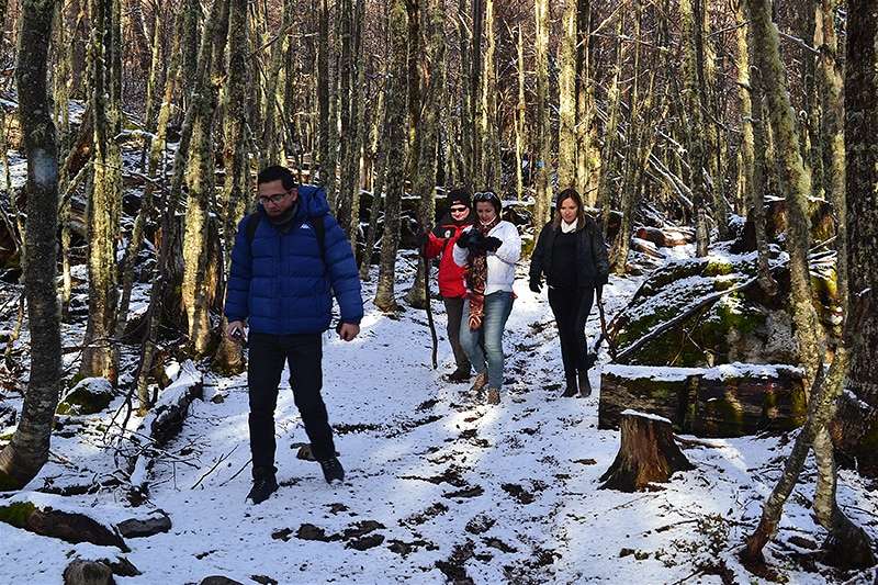 Pessoas andando em trilha na neve em ushuaia