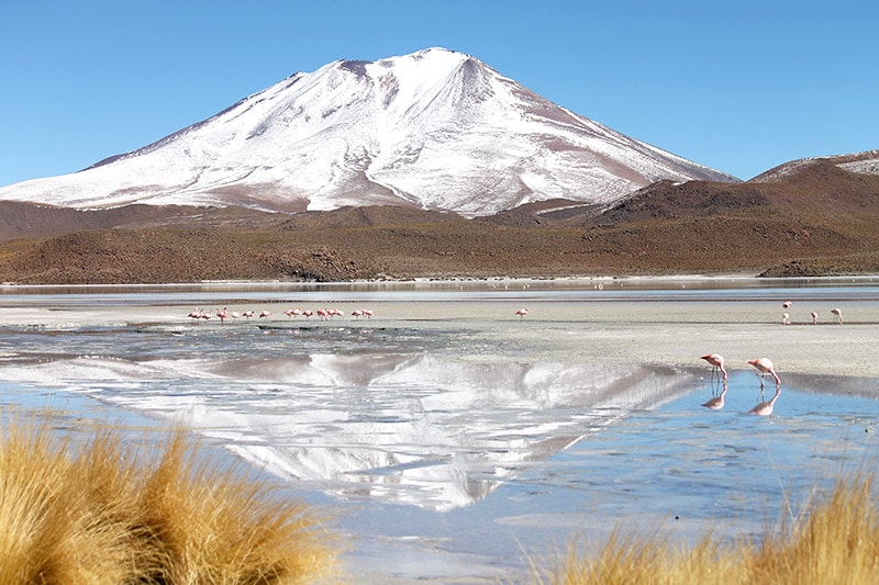 Roteiro pelo Deserto do Atacama