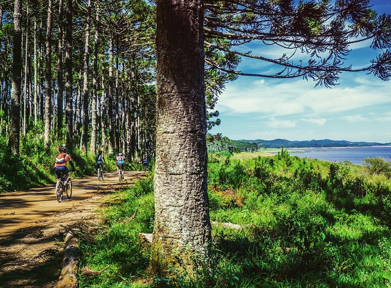 Viagem de cicloturismo autoguiada 