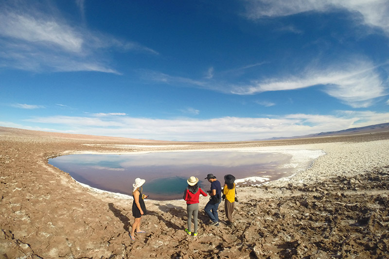 Vale a pena conhecer as Lagunas Escondidas do Atacama?