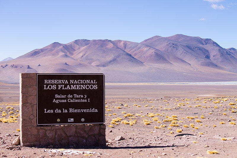 Reserva Nacional dos Flamingos, no Atacama