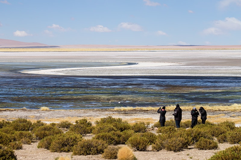 Paisagem do Salar de Tara