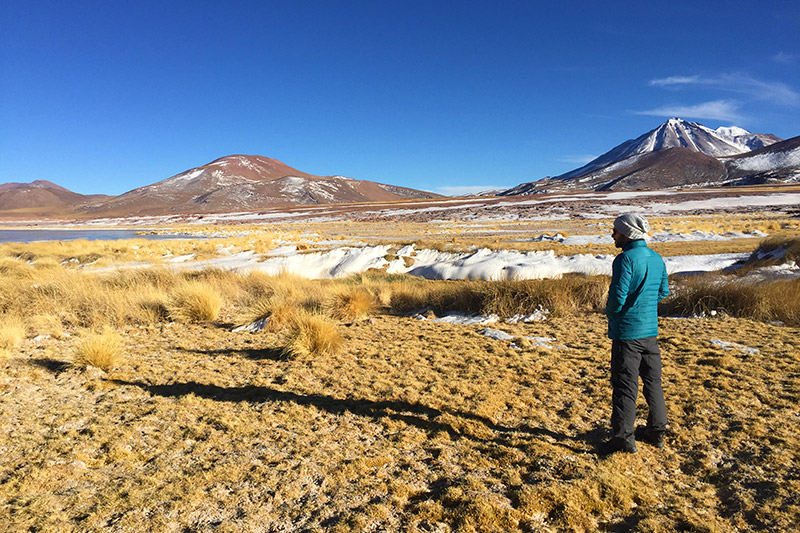 Tour em Piedras Rojas e Lagunas Altiplânicas