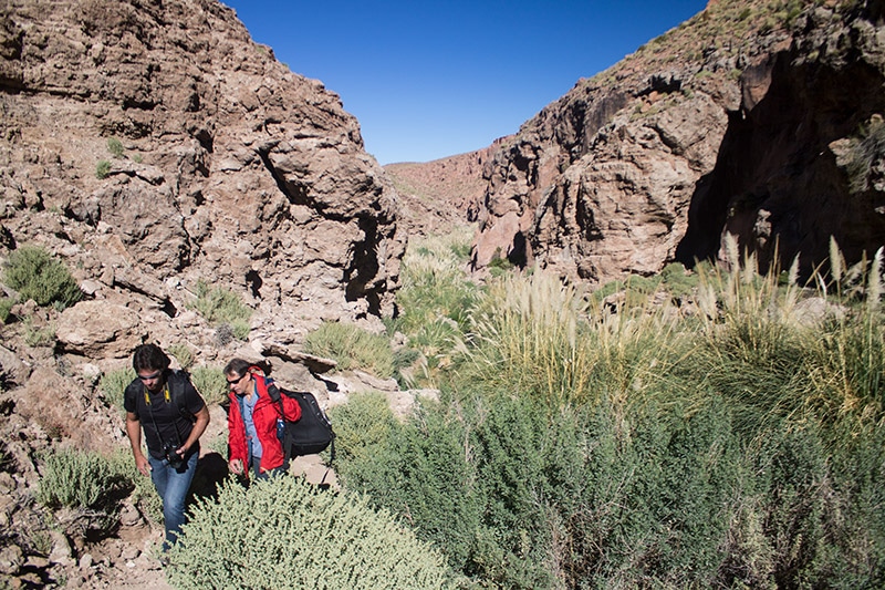 Passeios no Atacama