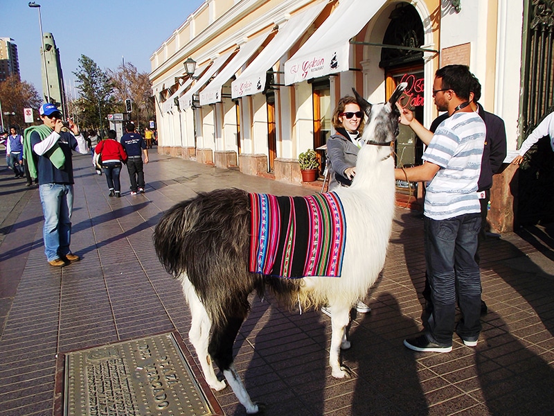 Lugares que as crianças gostam em Santiago