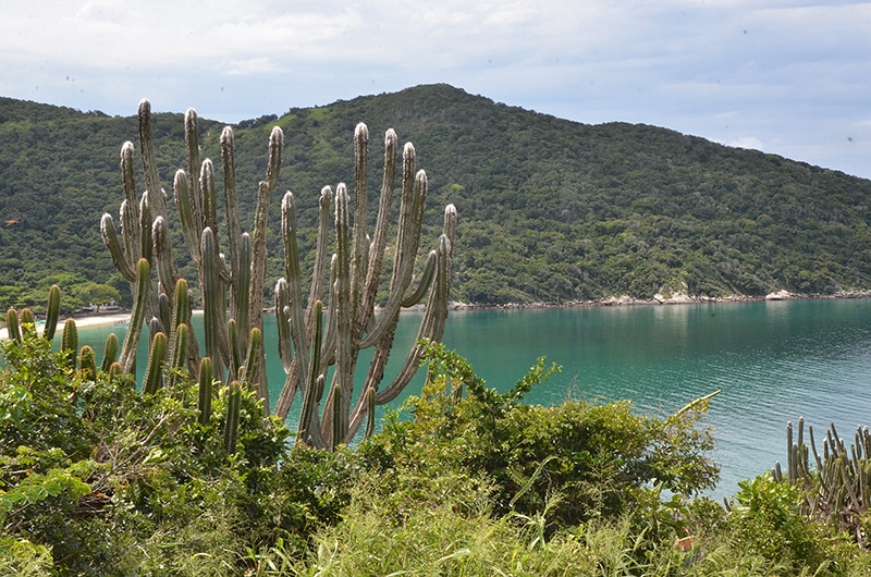 Prais do Rio de Janeiro Arraial do Cabo