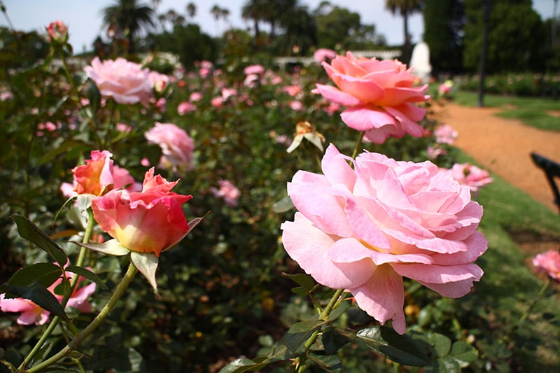 Pontos turísticos imperdíveis de Buenos Aires Pontos turísticos mais visitados de Buenos Aires