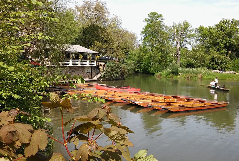 Roteiro em Cambridge Jardim Botânico em Cambridge