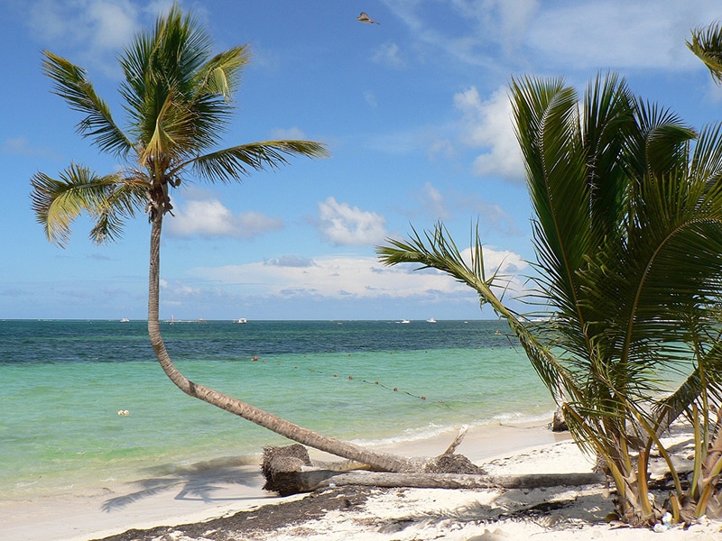 Réveillon mais cobiçados pelos turistas