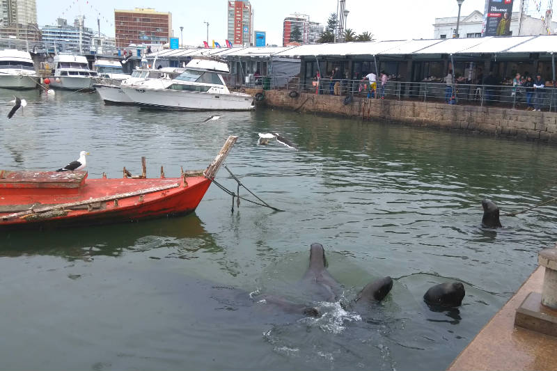 Guia de turismo no Uruguai Dicas de turismo no Uruguai